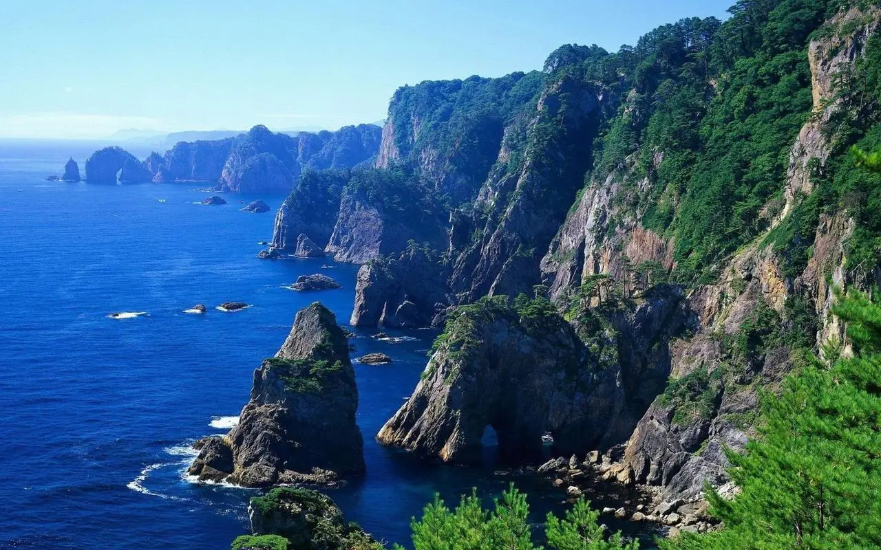 高效高端稳定性